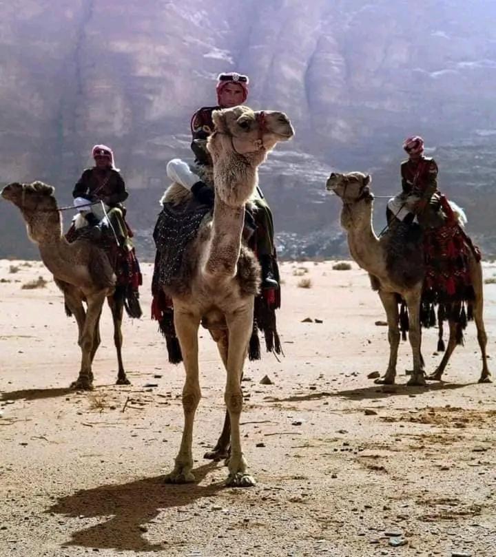 Enad Desert Camp Wadi Rum Esterno foto