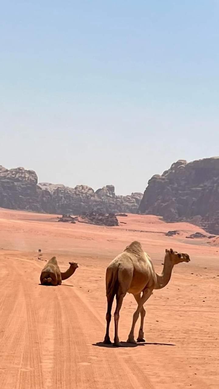 Enad Desert Camp Wadi Rum Esterno foto